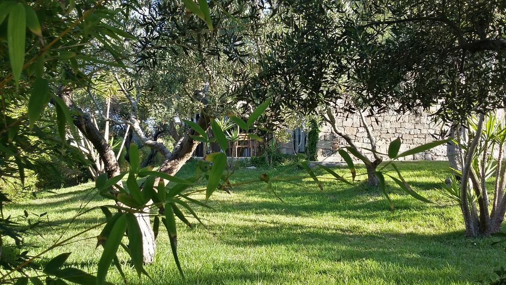 Tenuta Terenzano Torre San Giovanni Ugento Eksteriør billede